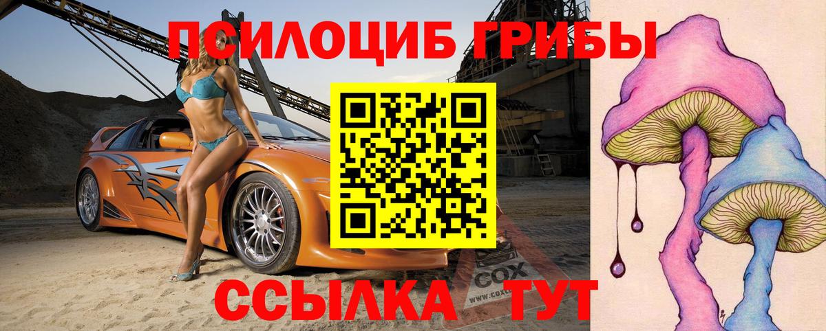 Псилоцибиновые грибы прущие грибы Сегежа