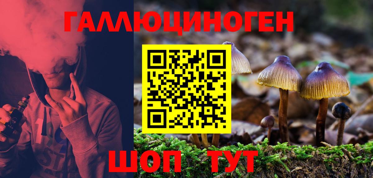 Псилоцибиновые грибы Psilocybe  Вход с VPN  Сегежа  Псилоцибиновые грибы мицелий 